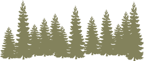 Forest Clipart Forrest - Pine Trees Silhouette (600x253)
