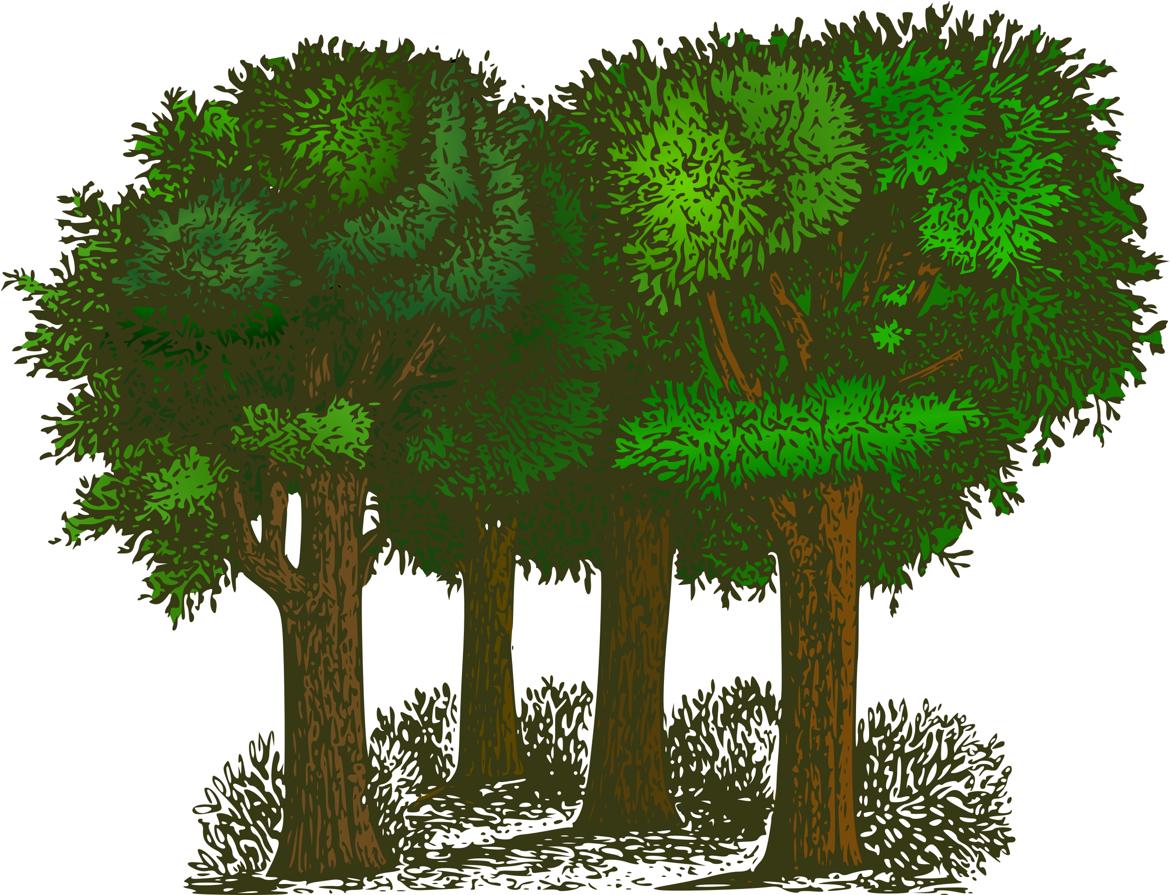 Green Gray Forest Clip Art - Trees Of Pride By G. K. Chesterton (2400x1935)