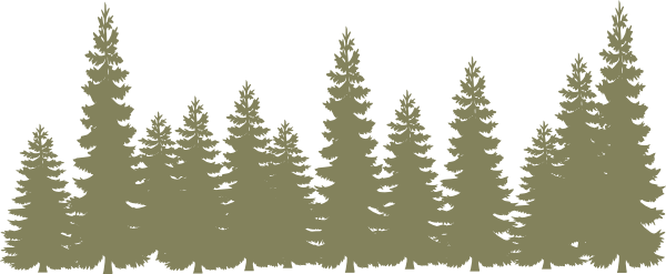 Forest Clipart Forrest - Pine Trees Clipart (600x247)