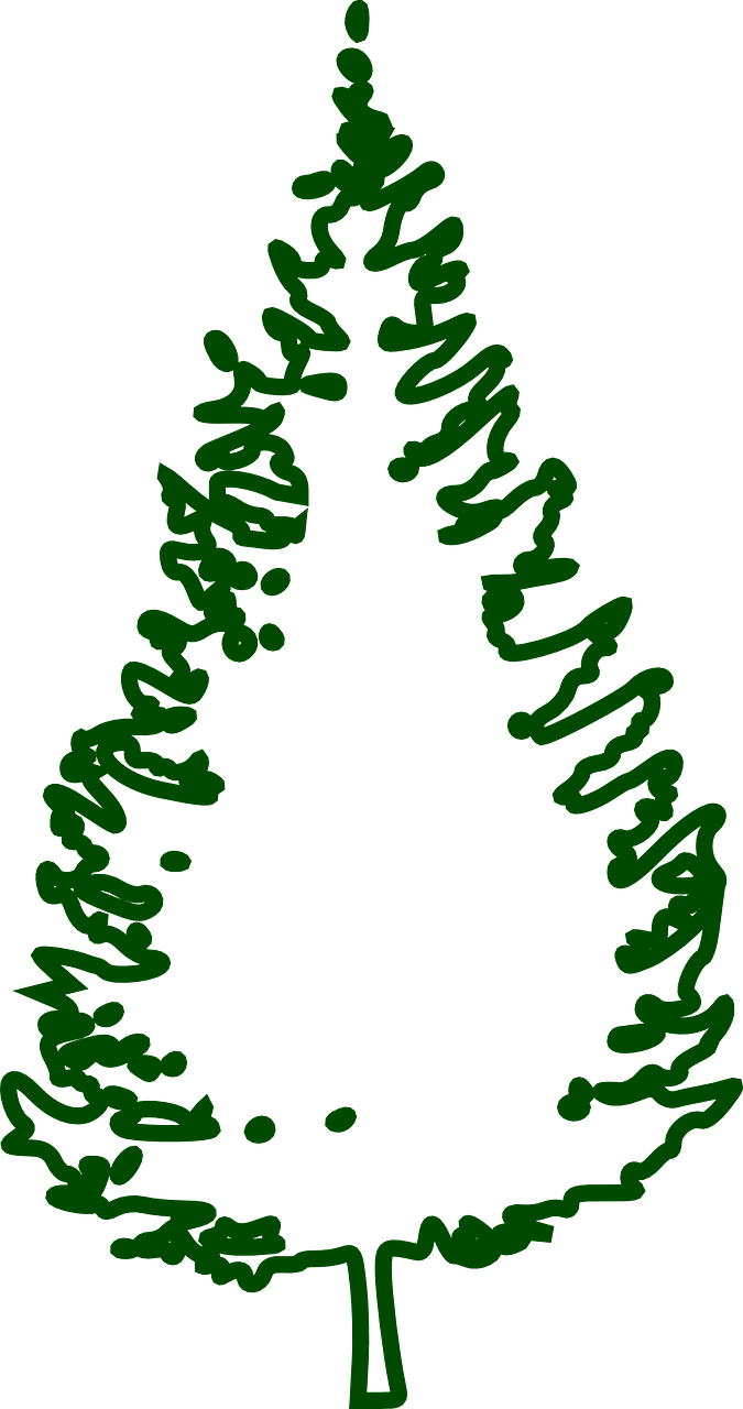 Fir Tree Conifer Tree Forest Png Image - Fir Tree Outline (675x1280)