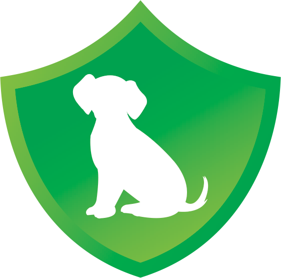 Safe For Your Puppy - Safe For Your Puppy (562x555)