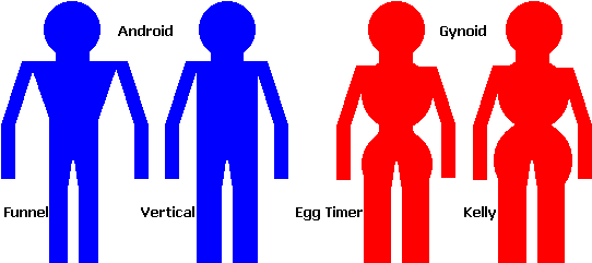 Menu - Gynoid Body Shape (560x240)