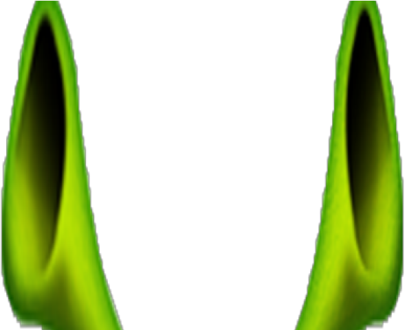 Shrek Clipart Ear - Shrek Clipart Ear (640x480)