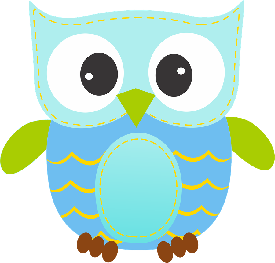 Corujas 3 - Minus - Minus Boy Owl Clipart (900x861)