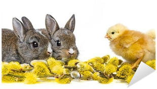 Vinilo Pixerstick Dos Pequeños Conejos Y Gallinas Y - 400 Наклеек Мамы И Малыши (400x400)
