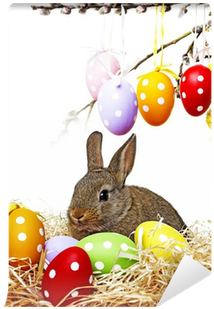 Fotomural Huevos De Pascua En Una Rama De Primavera - Spring (400x400)