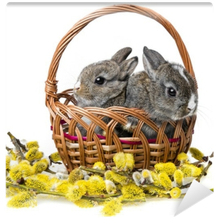 Fotomural Dos Pequeños Conejos En Una Cesta Y La Rama - Rabbit (400x400)
