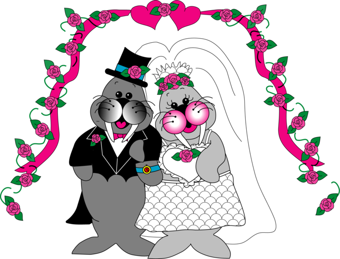 For The Words To The Willie And Wanda Song, Just Click - Frog Street Press Willie And Wanda (700x533)