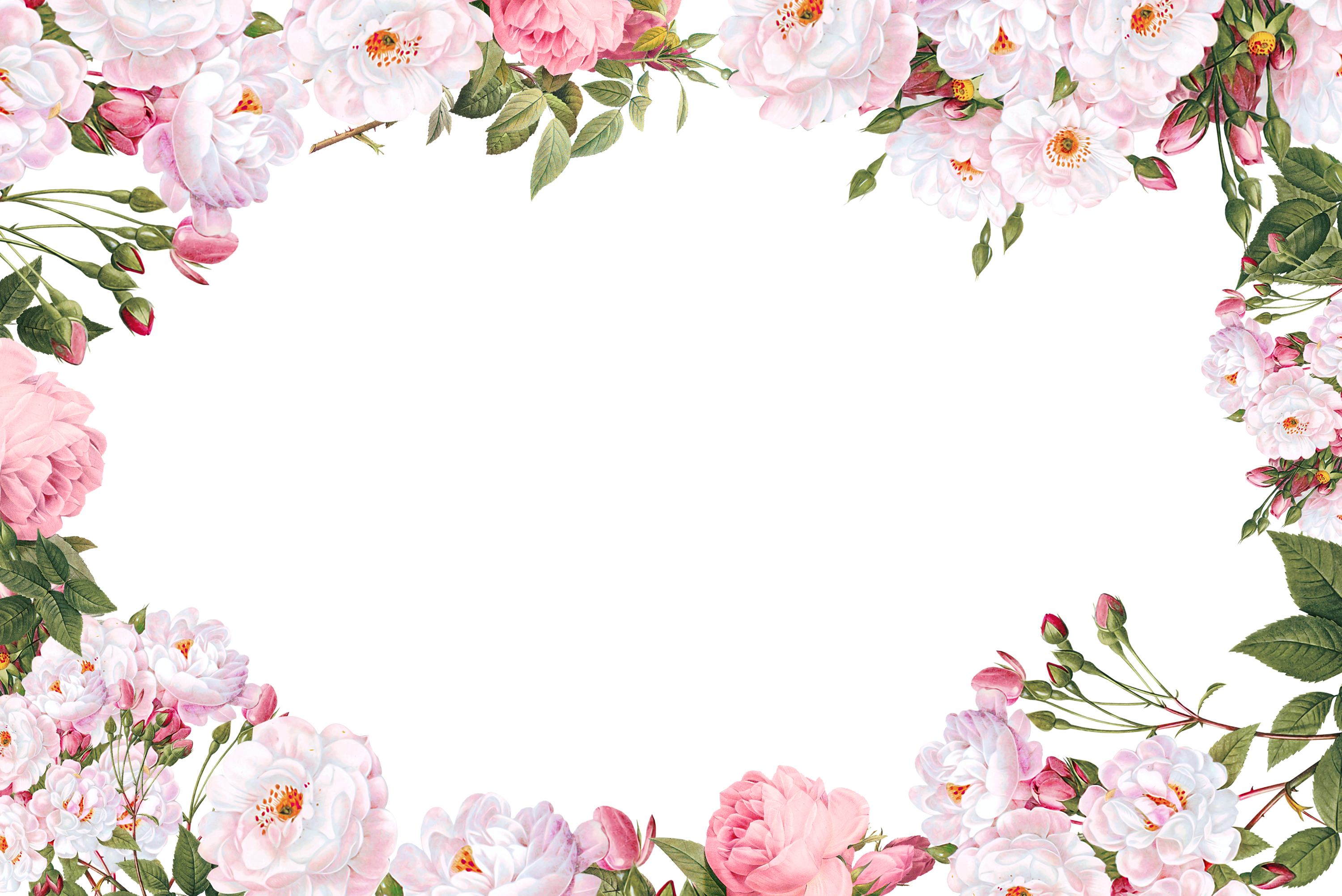 Script Typeface Sans-serif Calligraphy Font - Flower Border Png (3000x2004)