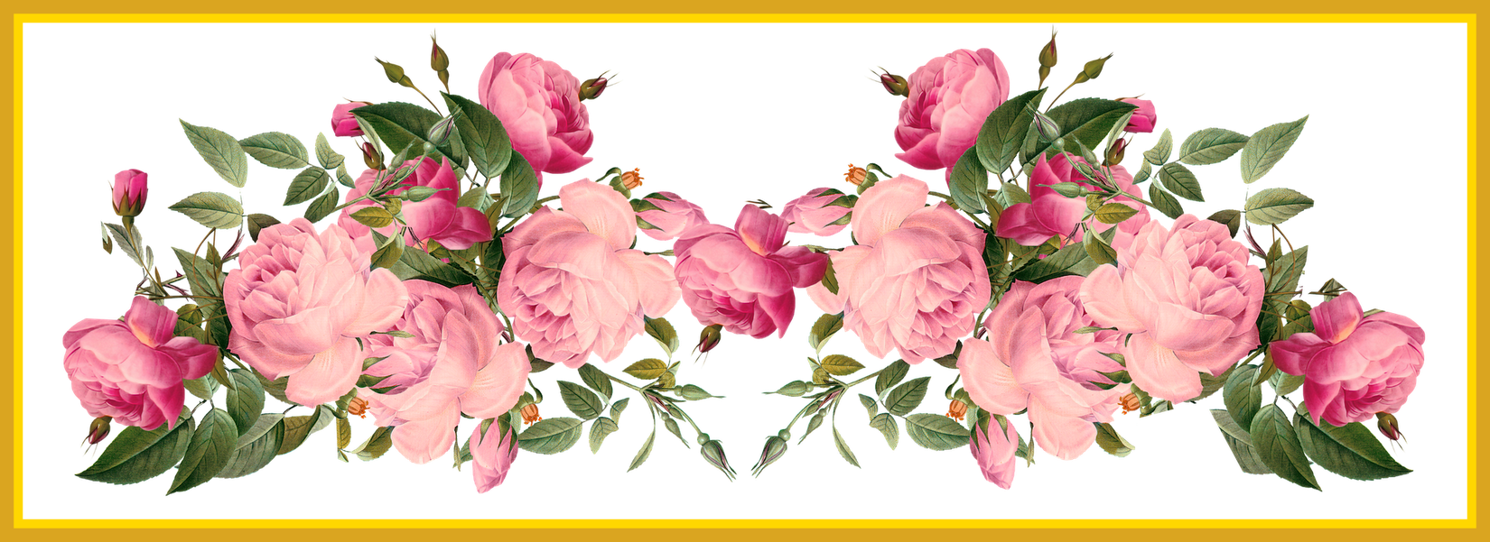 Rose Flower Rose Flower Design Border Png Shocking - Flower Vintage Border Png (1650x601)