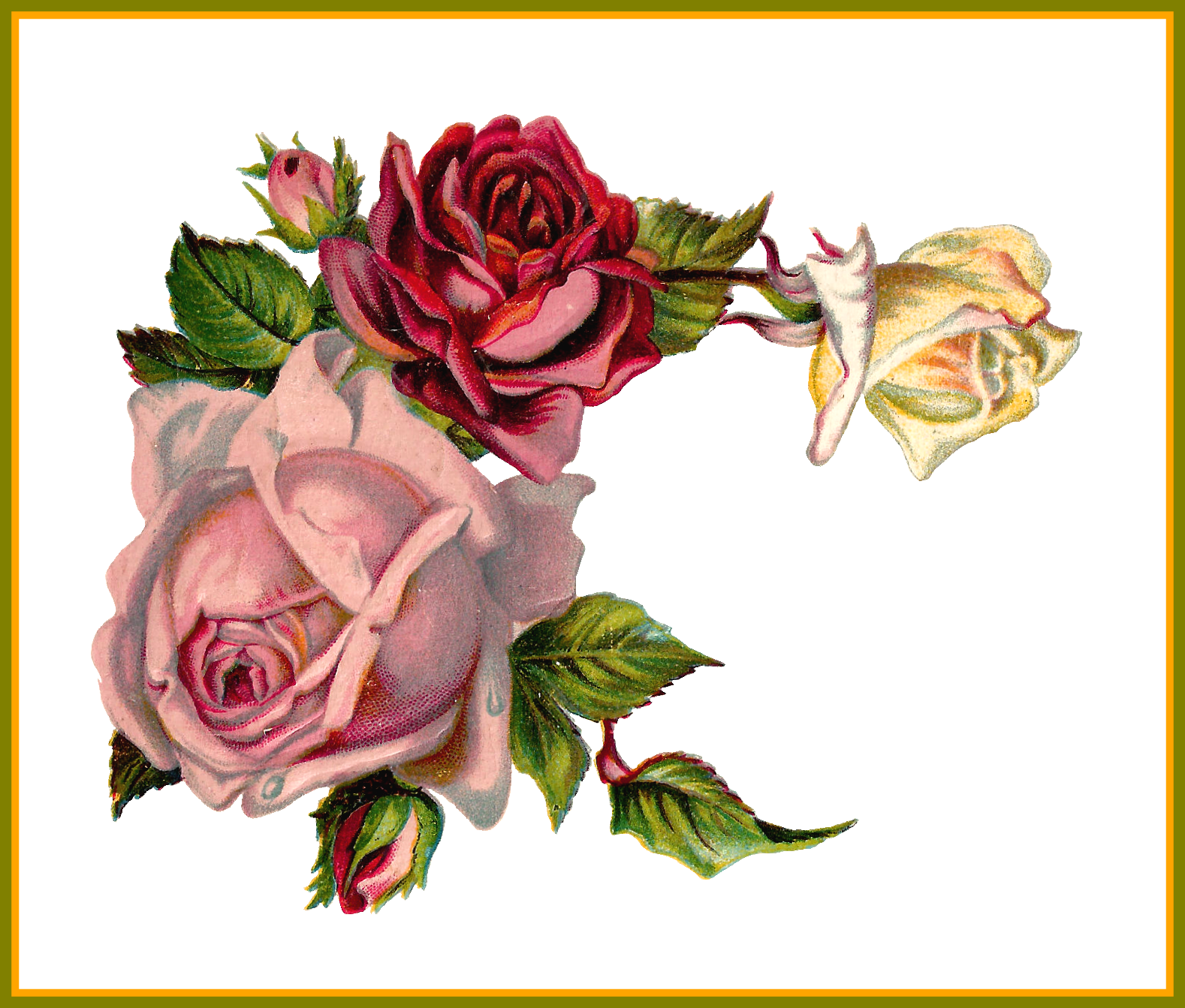 Best Antique Digital Flower Pink Rose Corner Design - Corner Vintage Roses (1578x1343)