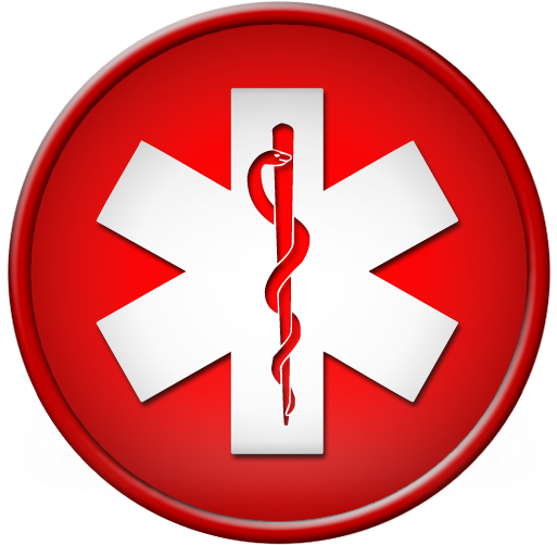 Star With Wings Of Life Clipart - You Don't Scare Me, I'm (512x512)