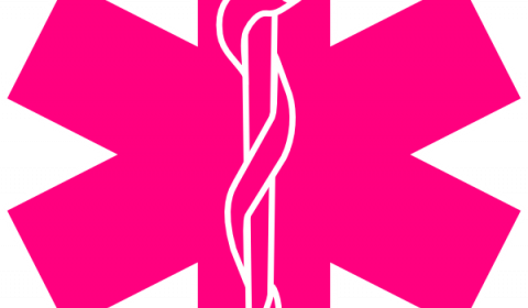 Star Of Life Clip Art - Clip Art (480x280)