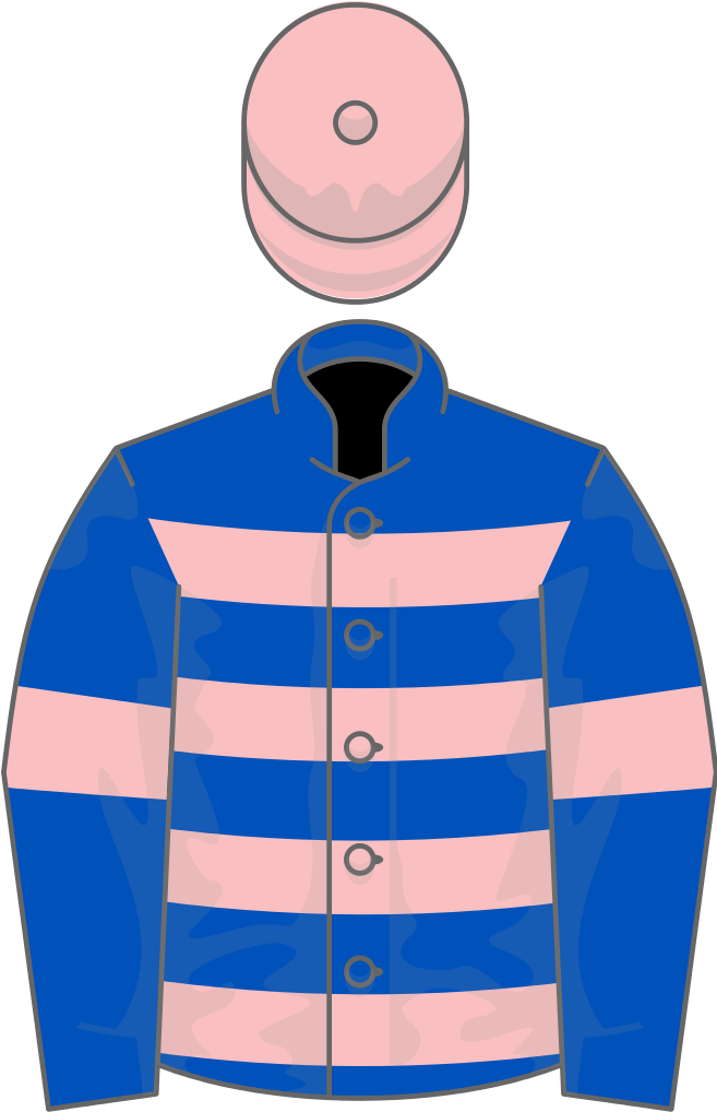 Fred Winter Juvenile Hurdle Profile - Godolphin Racing (656x1024)