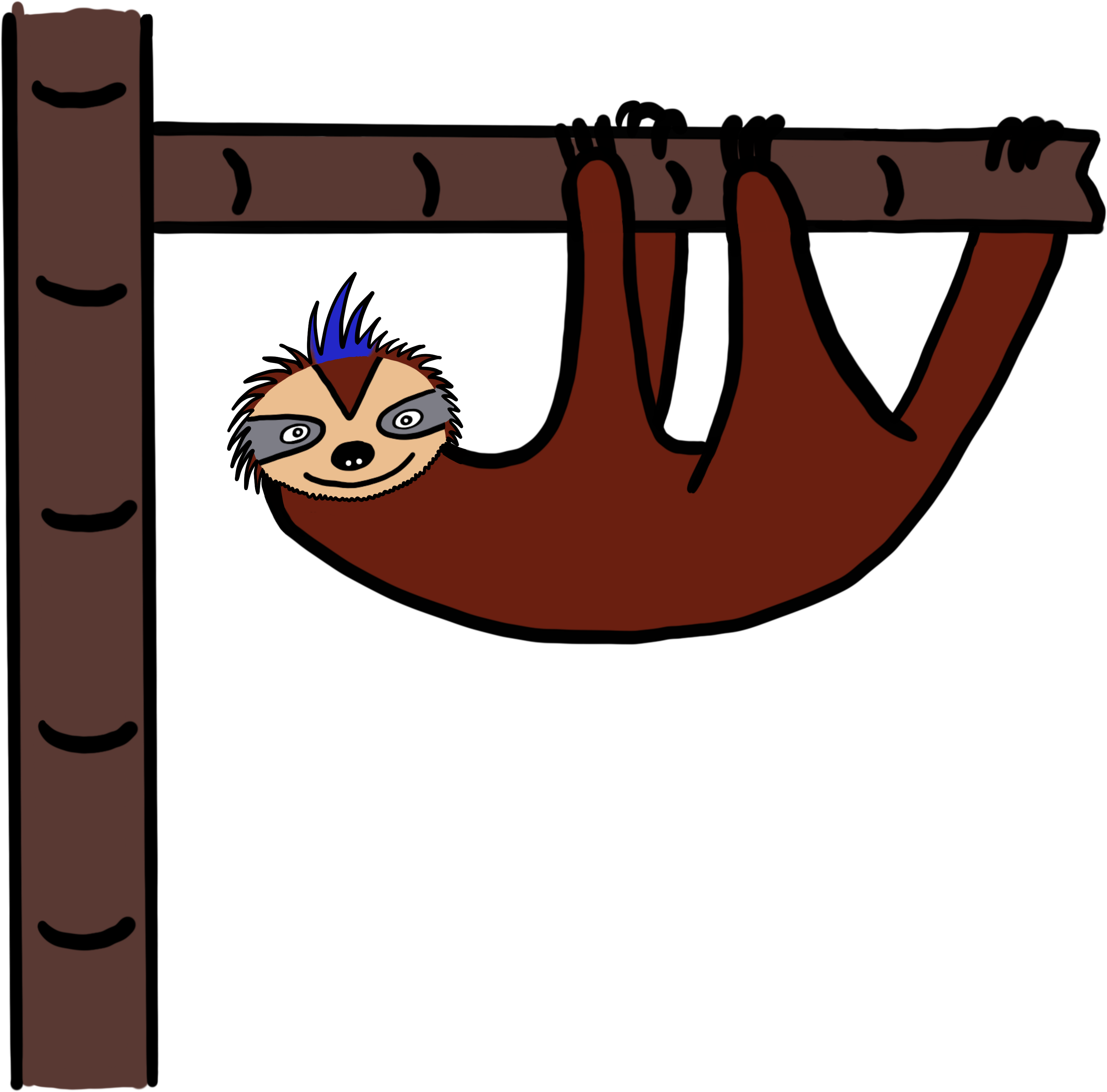 This Is Bosco, A Three-toed Sloth - Three-toed Sloth (3600x5400)