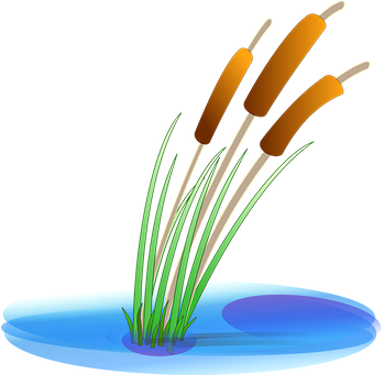 Lily Pad Clipart Pond Reed - Pond Plant Clipart (356x340)