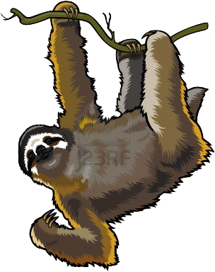 Look At That Sassy Face - Rainforest Animals No Background (322x400)