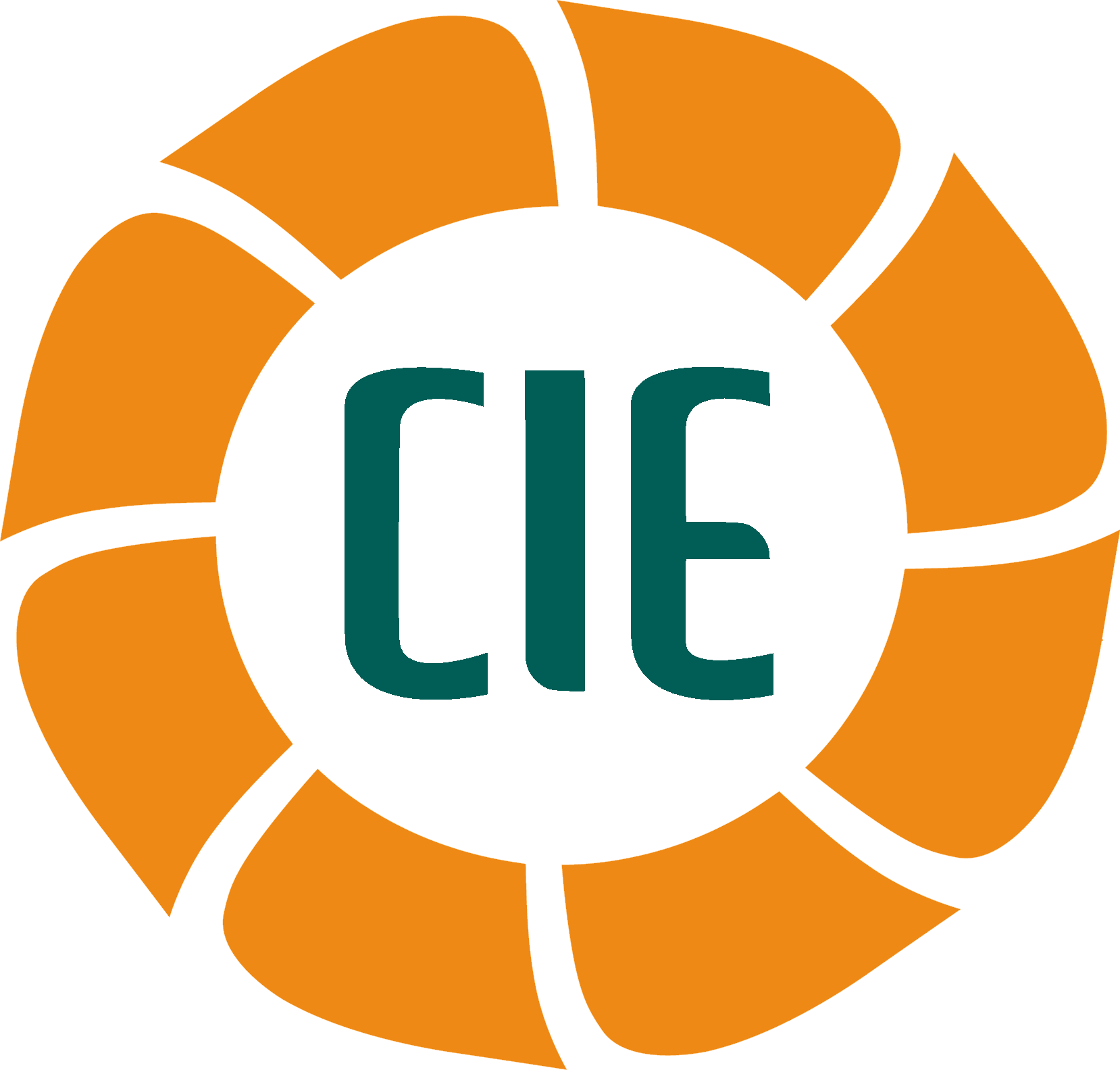 Cié Group Of Companies - Loading Animation Black Background (1658x1583)