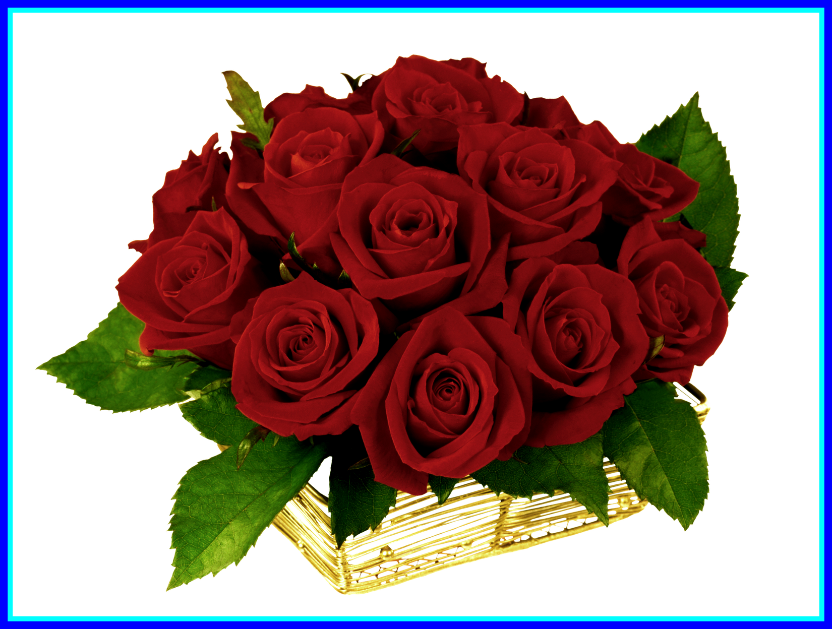 The Best Gifs Hermosos Flores Eencontradas En La Web - Открытка Спасибо И Цветы (1650x1248)