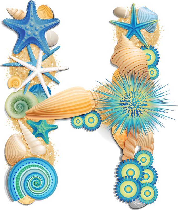 2 Alpha Blue - Letras Con Conchas De Mar (681x800)