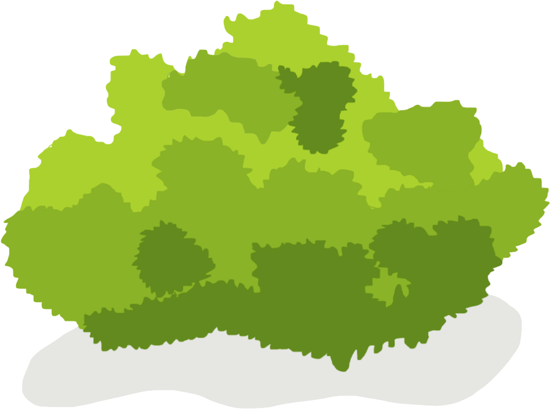 Bush - Shrub Clipart Png (1249x1249)