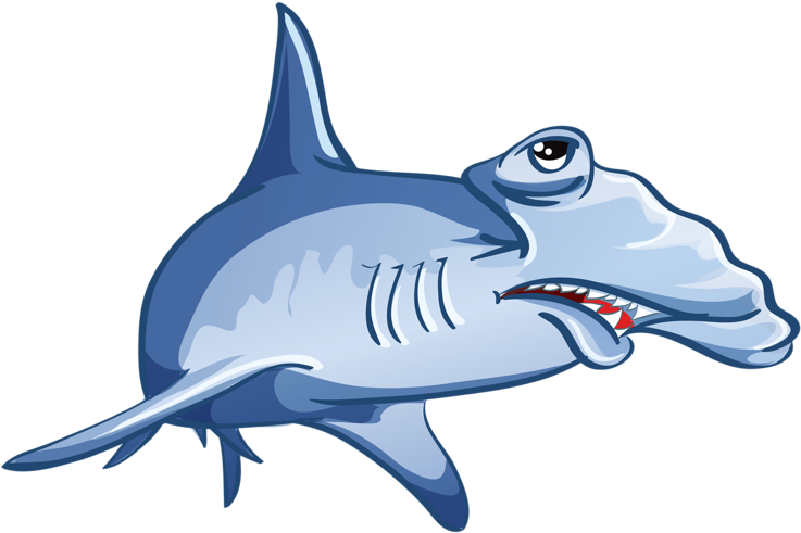 Shark Jaws Drawing - Shark (800x529)