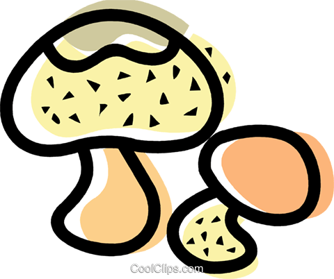 Wild Mushrooms Royalty Free Vector Clip Art Illustration - Wild Mushrooms Royalty Free Vector Clip Art Illustration (480x402)