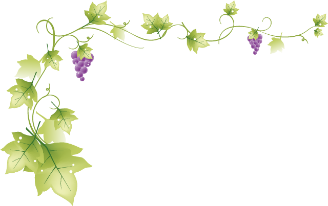 I Took A Video Of The Scene - Clear Background Grape Clipart (640x403)