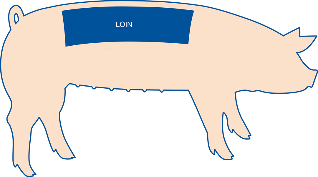 Pork Chops Are The Most Popular Cut From The Pork Loin, - Pork Chops Are The Most Popular Cut From The Pork Loin, (1080x601)