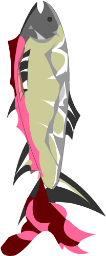 Gutted Trout - Illustration (500x500)