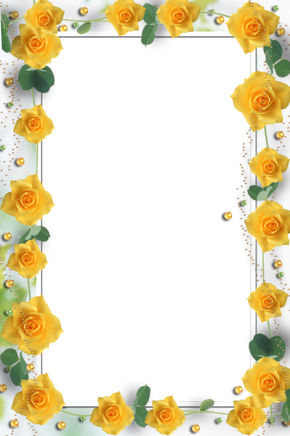 Yellow Roses Frames - Adobe Photoshop (579x870)