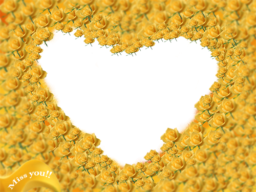 Heart Of Yellow Roses - Moldura Com Rosas Amarelas (500x375)