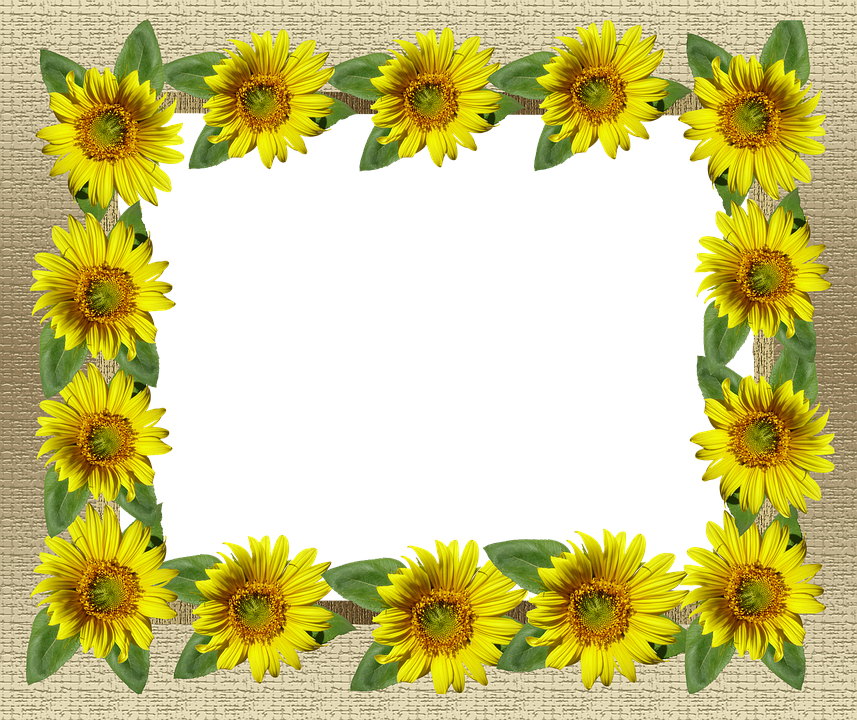 Frame, Gold, Sunflower Border, Card - Common Sunflower (857x720)