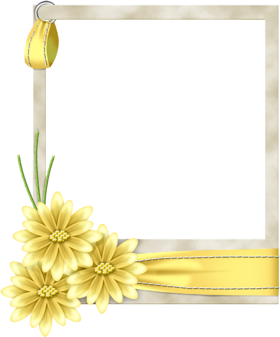 Flo Frame Yellow - Yellow Frame Png (572x698)