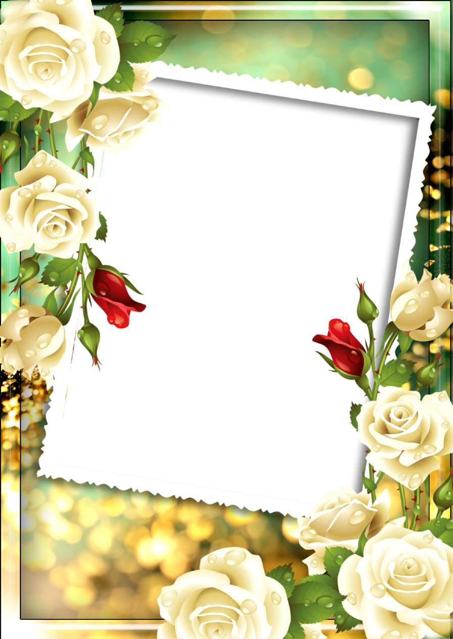 Floral Frame Png Images Free Download - Frame Free Download Png (897x1264)