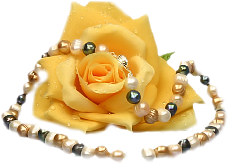Yellow Roses - Schmetterling Auf Rose Gif (479x340)