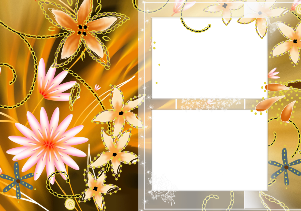 Transparent Png Frames - Frames Png (1200x843)