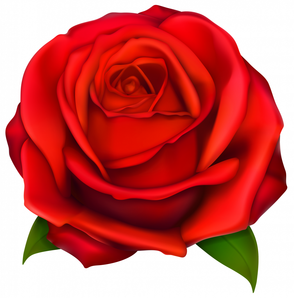 Bold Design Ideas Rose Clip Art Image Of Red 2 Roses - Rose Clip Art Png (1011x1024)