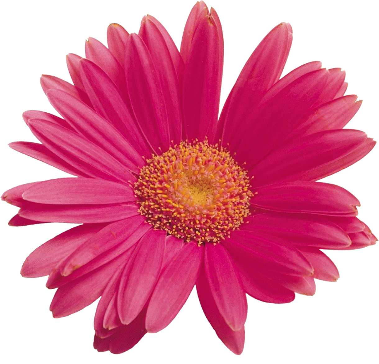 Black Tai Himalayan Energy Massage Bars (pack (1800x1200)