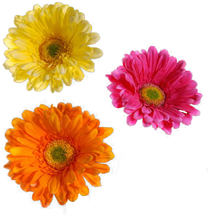Flower - Flower Cut Out Png (900x900)