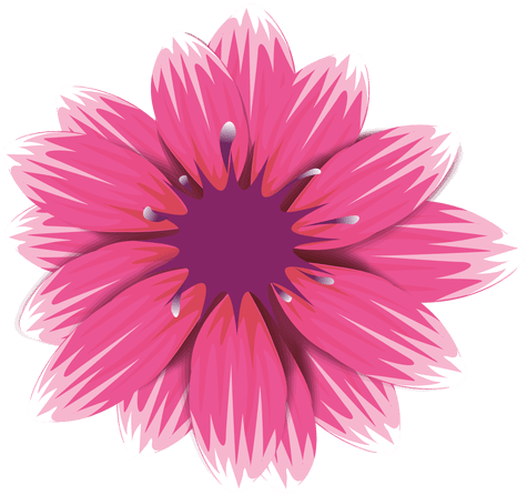 Pink Gerbera Flower Transparent Png - Scalable Vector Graphics (512x512)