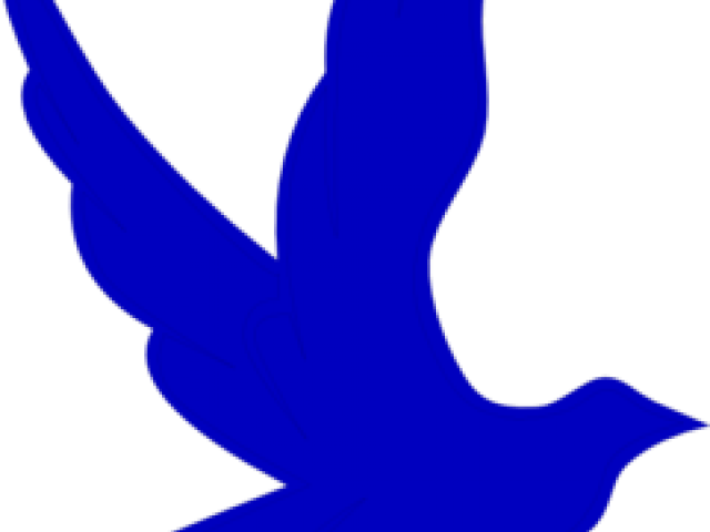 Dove Clipart Small Dove - Dove Clipart Small Dove (640x480)