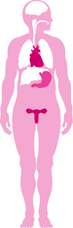 The Effects Of Ritalin On The Body - Anaphylaxis Body (250x781)