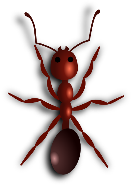 Fire Ant Clip Art At Clker - Ant Clip Art (426x596)