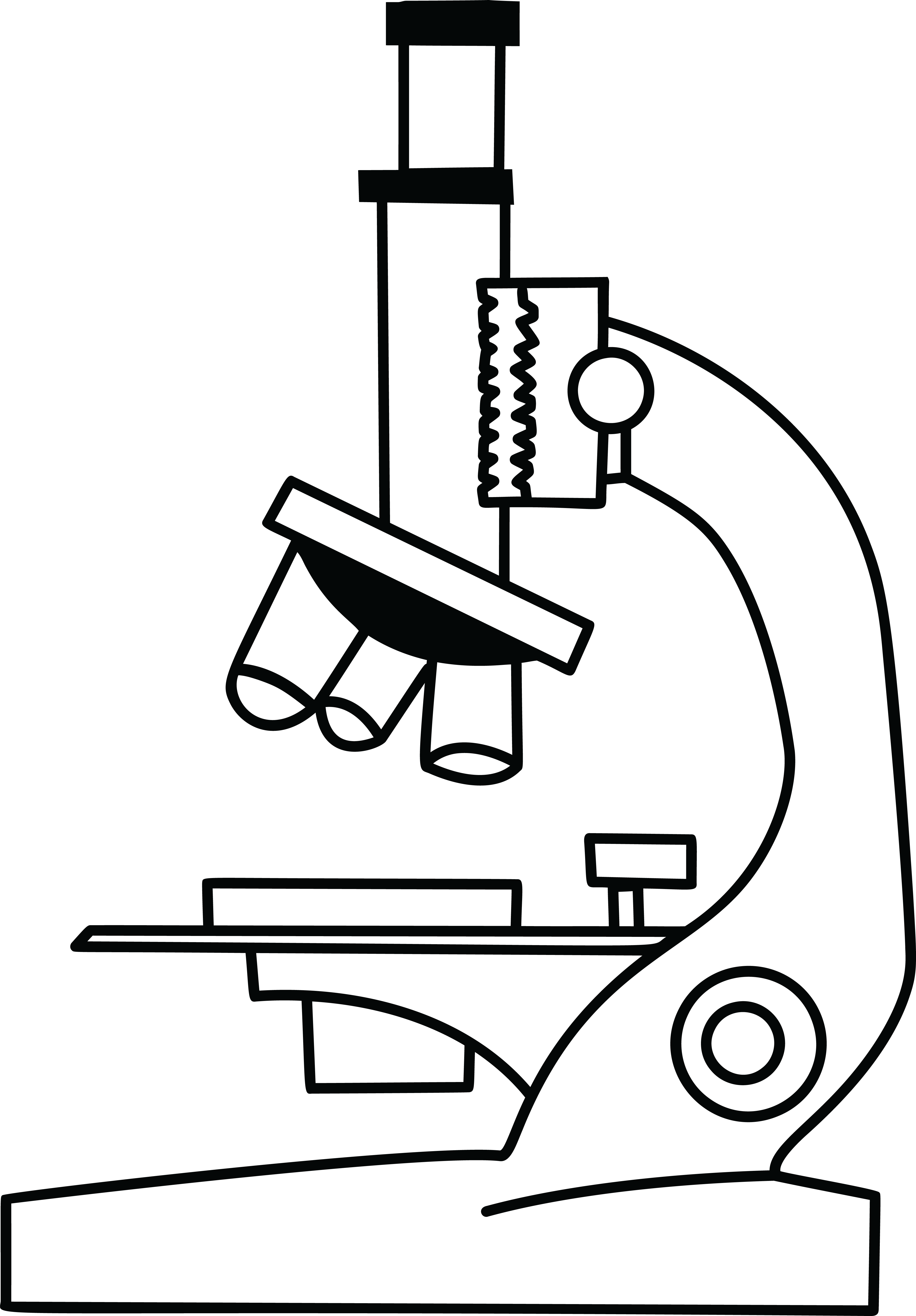 Clipart Jpg - Microscope Black And White (4000x5748)