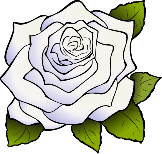 Rose Black And White Outline Clipart Panda Free Clipart - White Rose Clipart Png (550x524)