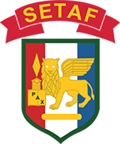 Carved Plaque Of The Seal/crest Of The 2nd Infantry - United States Army Africa (476x570)