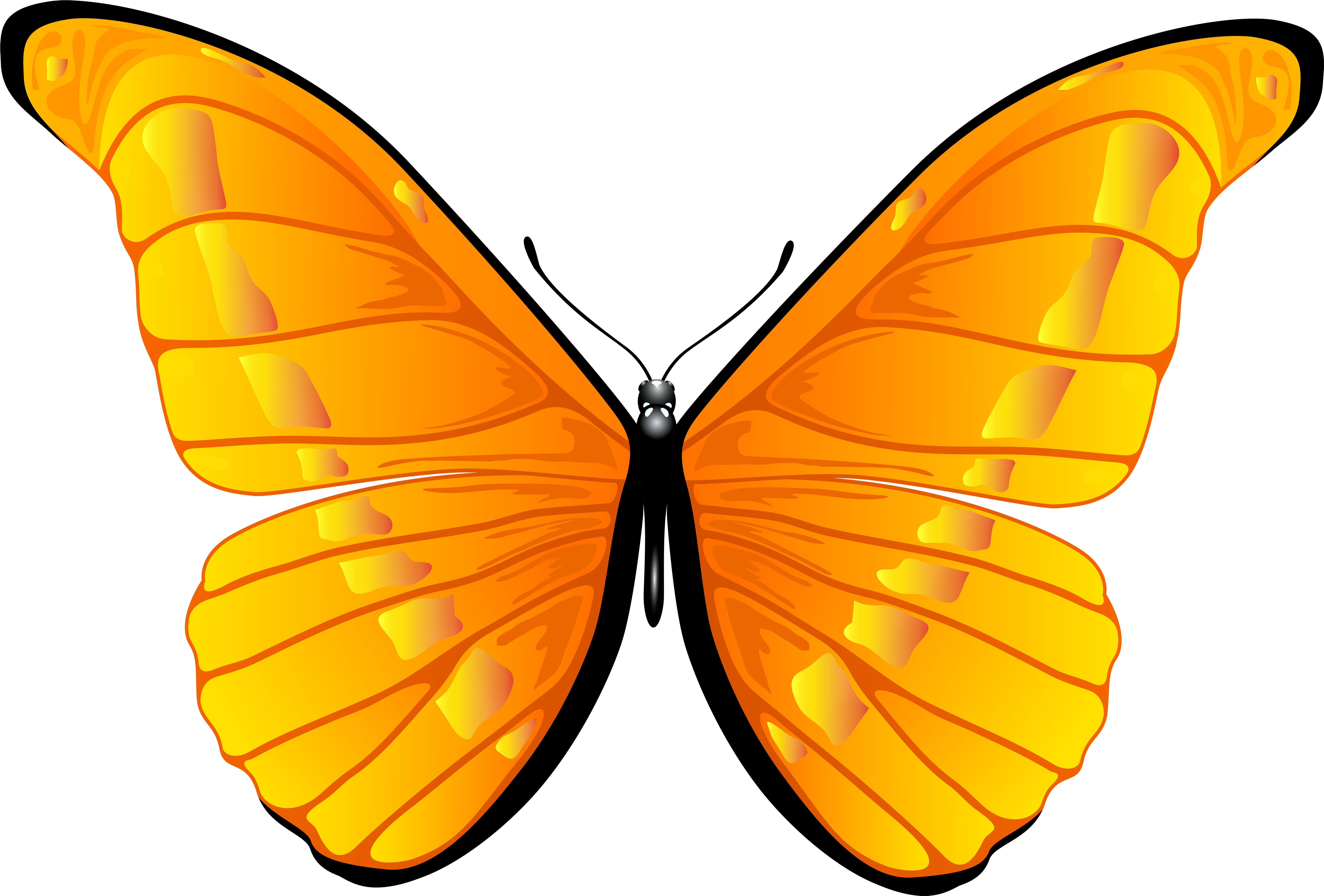 Butterfly In Clipart - Orange Butterfly Clip Art (7000x4739)