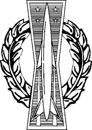Air Force Missile Badges - Air Force Missile Badge (318x450)