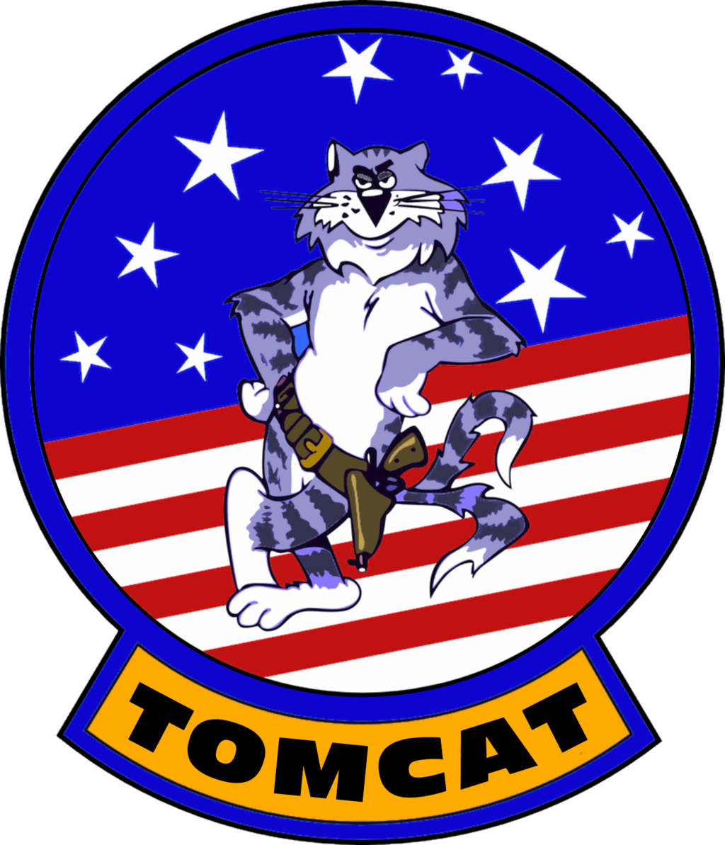 Grumman F-14 Tomcat Flight Insignia By Viperaviator - F 14 Tomcat Patch (1024x1193)